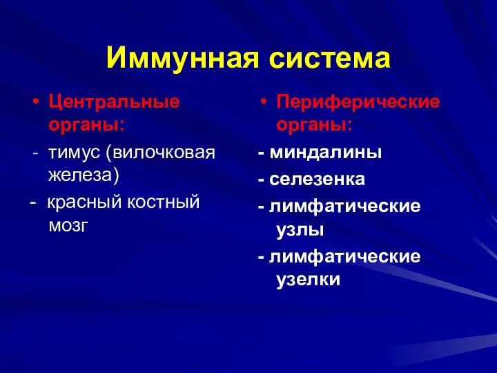 Иммунная система Центральные органы: тимус (вилочковая железа) - красный костный мозг Периферические