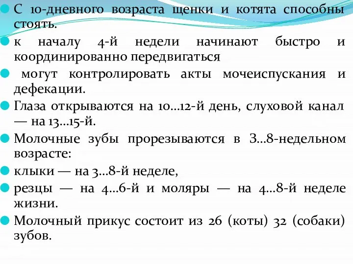 С 10-дневного возраста щенки и котята способны стоять. к началу 4-й недели