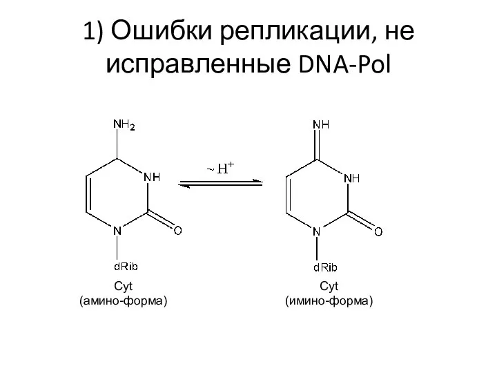 1) Ошибки репликации, не исправленные DNA-Pol Cyt (амино-форма) Cyt (имино-форма)