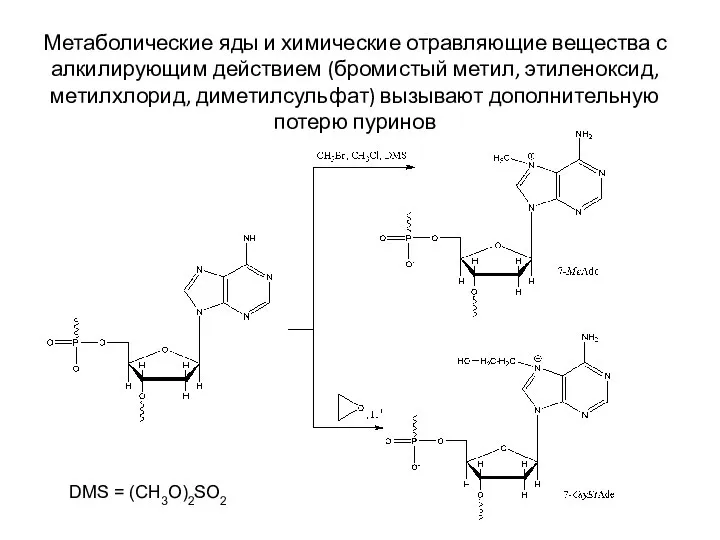 Метаболические яды и химические отравляющие вещества с алкилирующим действием (бромистый метил, этиленоксид,