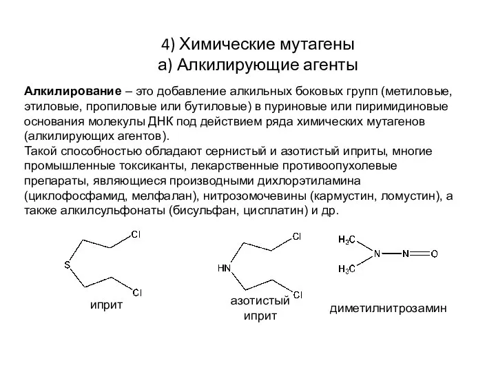 4) Химические мутагены а) Алкилирующие агенты Алкилирование – это добавление алкильных боковых