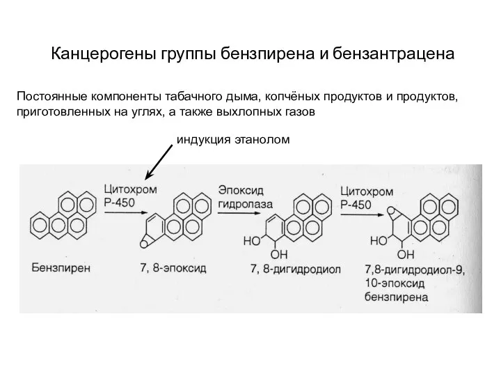 Канцерогены группы бензпирена и бензантрацена Постоянные компоненты табачного дыма, копчёных продуктов и