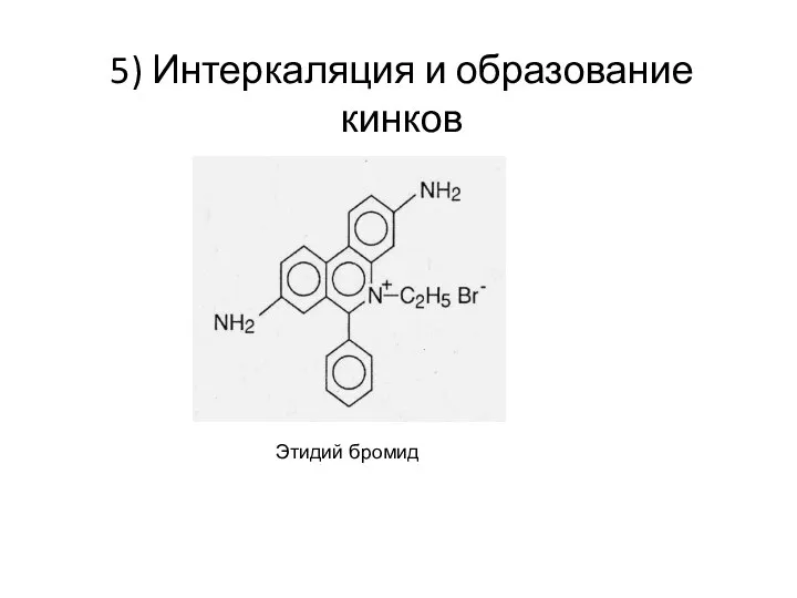 5) Интеркаляция и образование кинков Этидий бромид