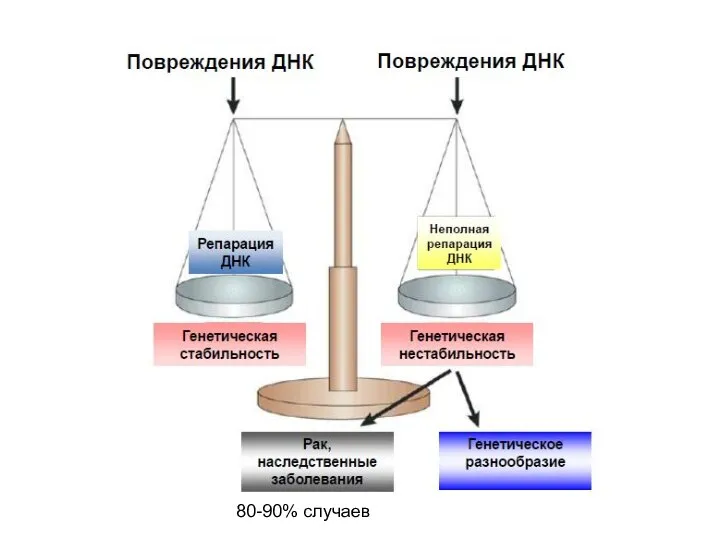 80-90% случаев