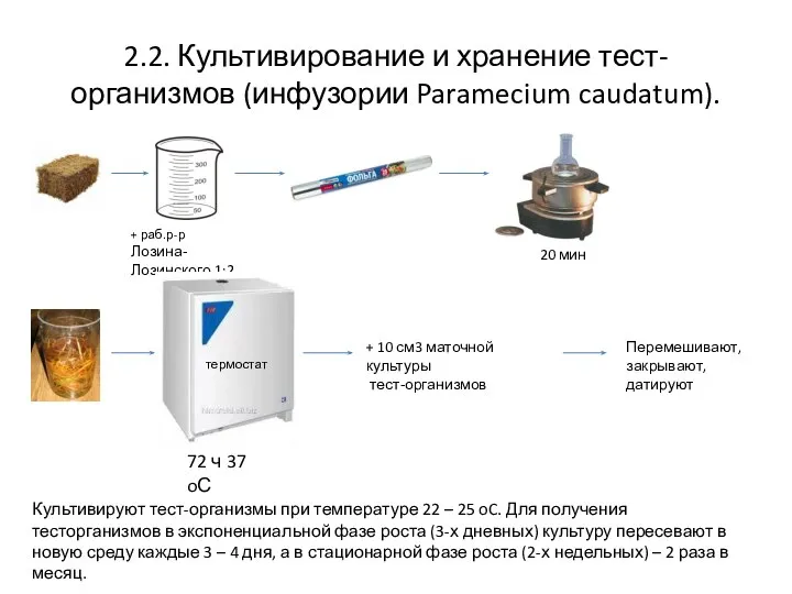 2.2. Культивирование и хранение тест-организмов (инфузории Paramecium caudatum). + раб.р-р Лозина- Лозинского