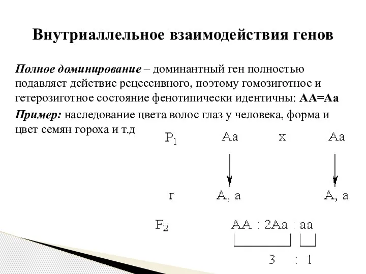 Полное доминирование – доминантный ген полностью подавляет действие рецессивного, поэтому гомозиготное и