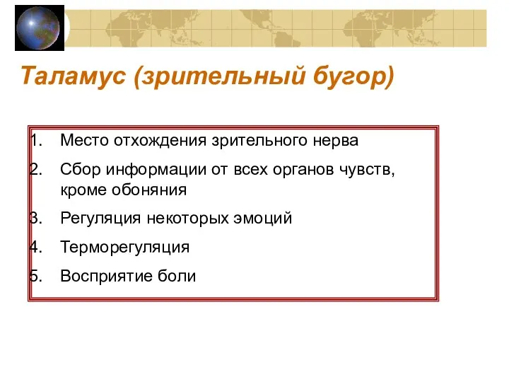 Таламус (зрительный бугор) Место отхождения зрительного нерва Сбор информации от всех органов
