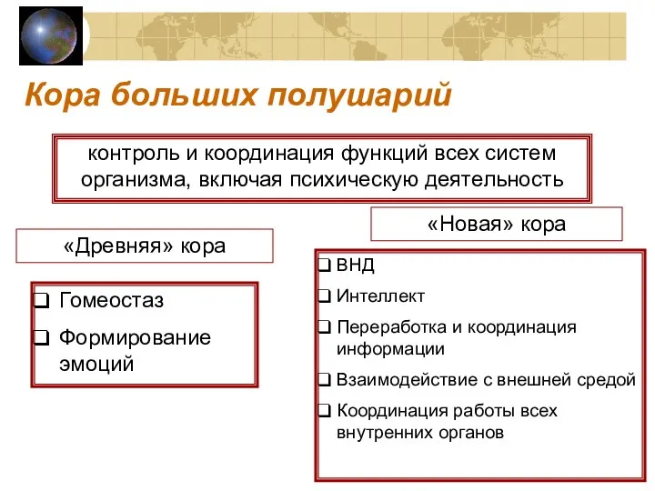 Кора больших полушарий контроль и координация функций всех систем организма, включая психическую