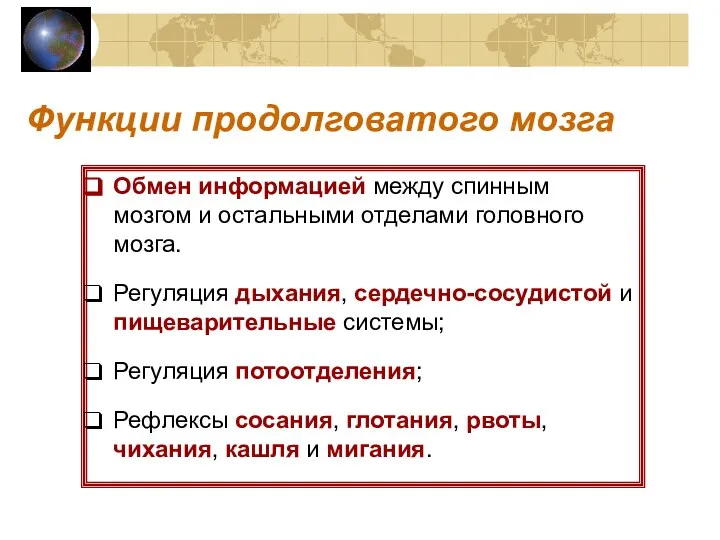 Функции продолговатого мозга Обмен информацией между спинным мозгом и остальными отделами головного