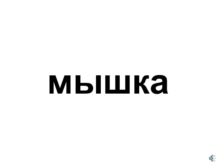 мышка