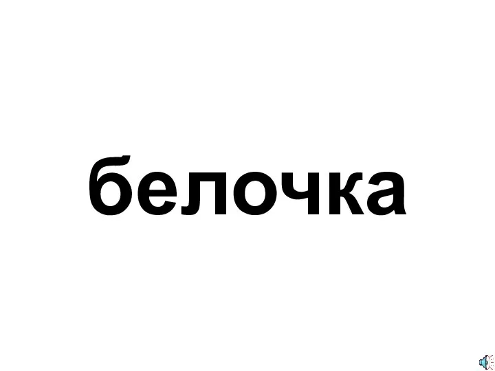 белочка