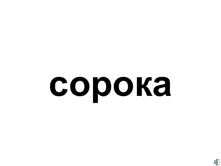 сорока