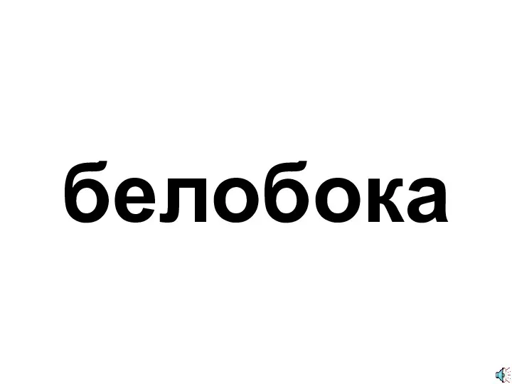 белобока