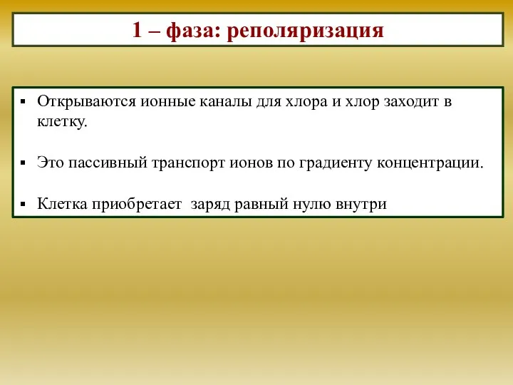 1 – фаза: реполяризация Открываются ионные каналы для хлора и хлор заходит