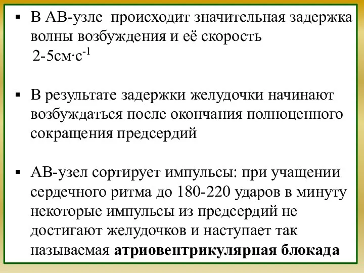 В АВ-узле происходит значительная задержка волны возбуждения и её скорость 2-5см∙с-1 В