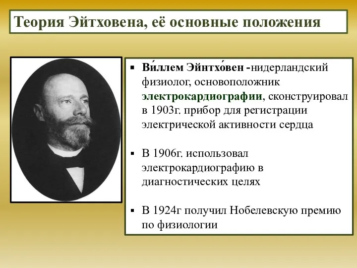 Теория Эйтховена, её основные положения Ви́ллем Эйнтхо́вен -нидерландский физиолог, основоположник электрокардиографии, сконструировал