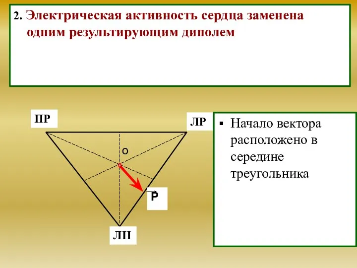 2. Электрическая активность сердца заменена одним результирующим диполем Начало вектора расположено в середине треугольника