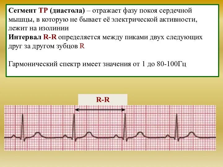 Сегмент TР (диастола) – отражает фазу покоя сердечной мышцы, в которую не