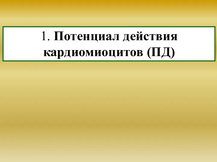 1. Потенциал действия кардиомиоцитов (ПД)