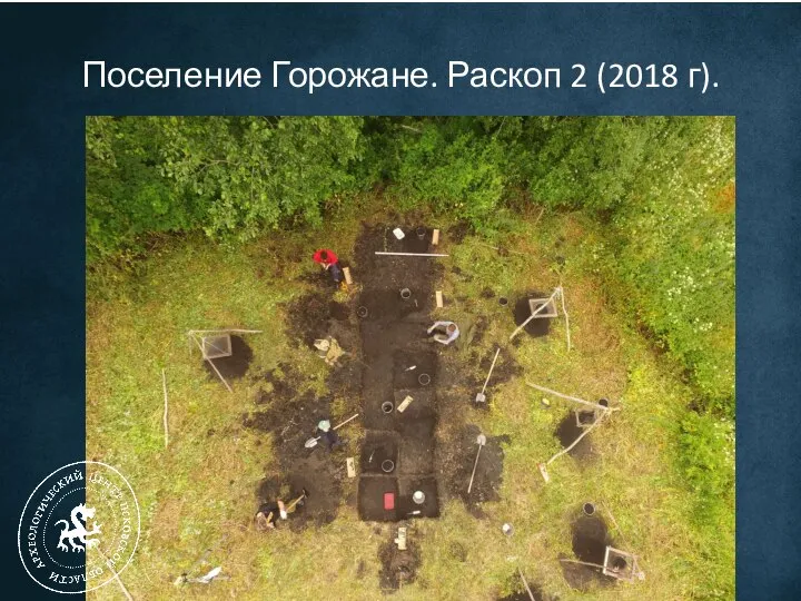 Поселение Горожане. Раскоп 2 (2018 г).