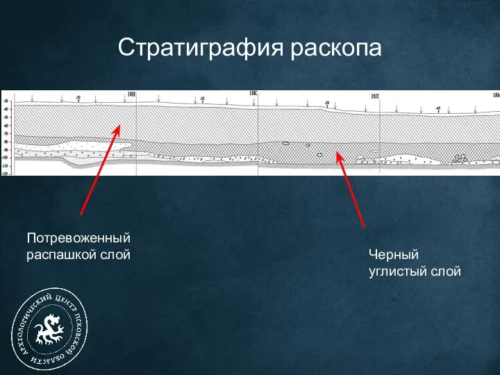 Стратиграфия раскопа Потревоженный распашкой слой Черный углистый слой