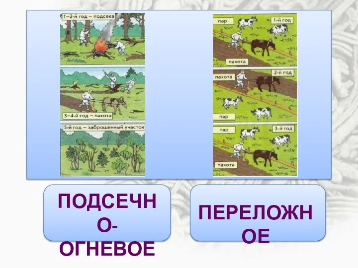 СОЗДАЁМ КЛАСТЕР земледелие ПОДСЕЧНО- ОГНЕВОЕ ПЕРЕЛОЖНОЕ Занятия древних славян