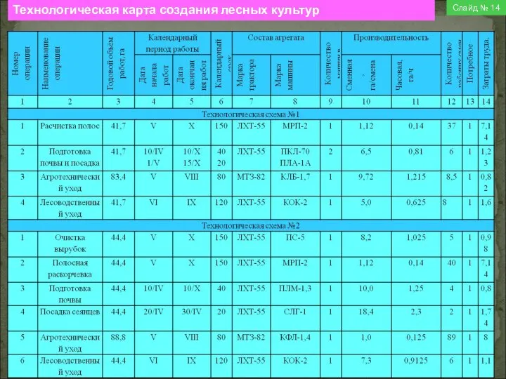 Слайд № 14 Технологическая карта создания лесных культур