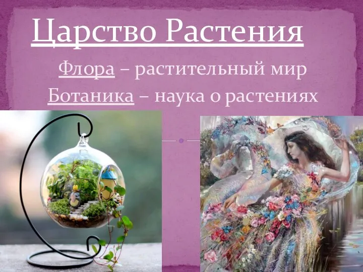 Флора – растительный мир Ботаника – наука о растениях Царство Растения