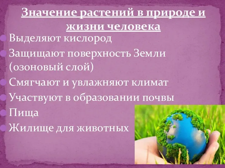 Выделяют кислород Защищают поверхность Земли (озоновый слой) Смягчают и увлажняют климат Участвуют