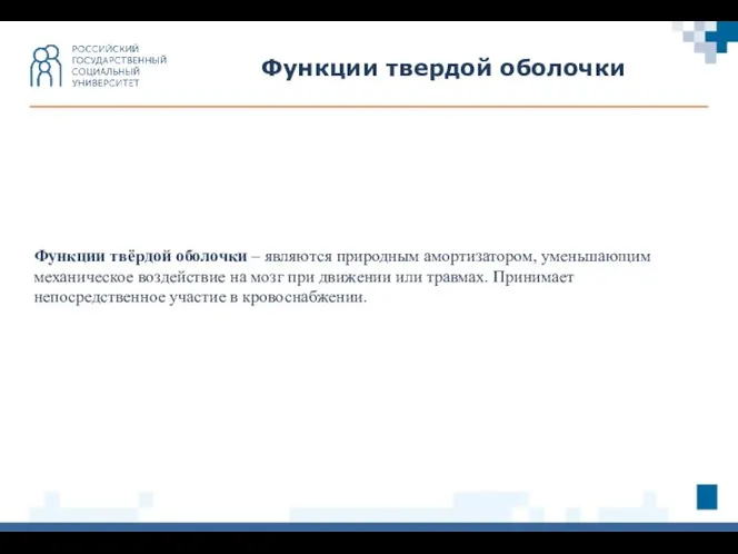 Функции твердой оболочки Функции твёрдой оболочки – являются природным амортизатором, уменьшающим механическое