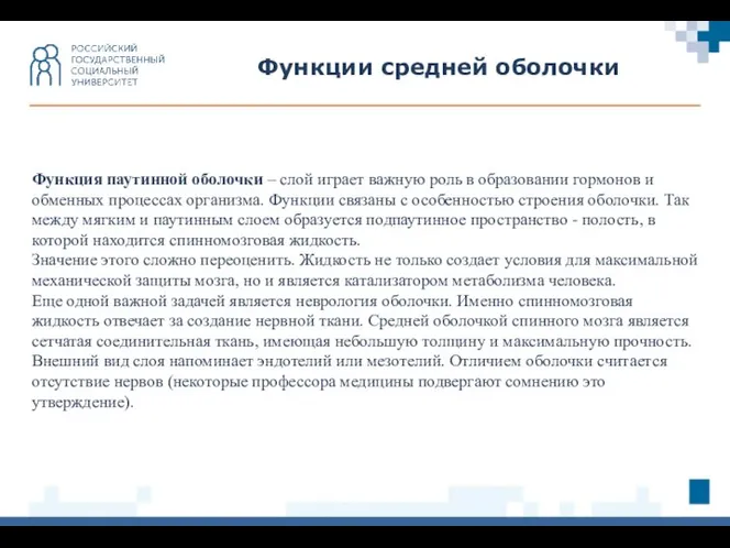 Функции средней оболочки Функция паутинной оболочки – слой играет важную роль в