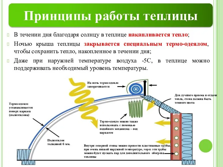 В течении дня благодаря солнцу в теплице накапливается тепло; Ночью крыша теплицы