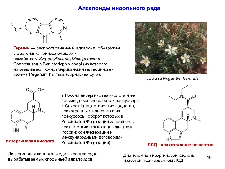 Алкалоиды индольного ряда Гармин — распространенный алкалоид, обнаружен в растениях, принадлежащих к