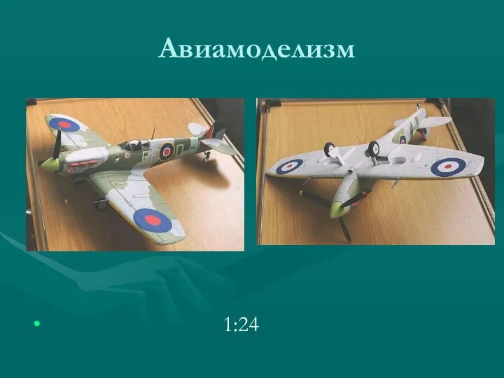 Авиамоделизм 1:24