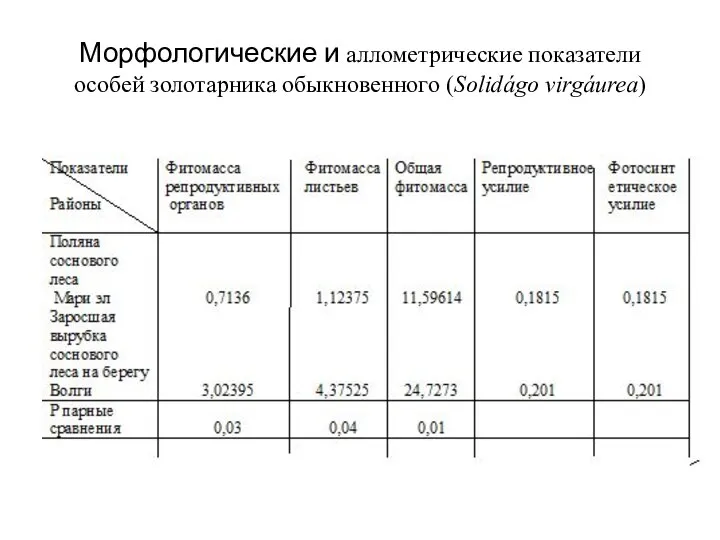 Морфологические и аллометрические показатели особей золотарника обыкновенного (Solidágo virgáurea)