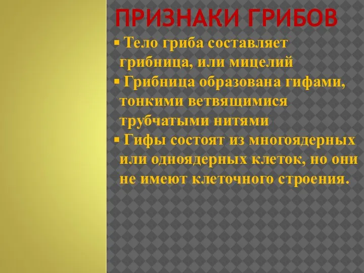 ПРИЗНАКИ ГРИБОВ Тело гриба составляет грибница, или мицелий Грибница образована гифами, тонкими