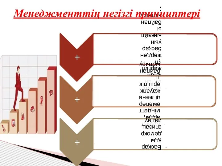 Менеджменттің негізгі принциптері