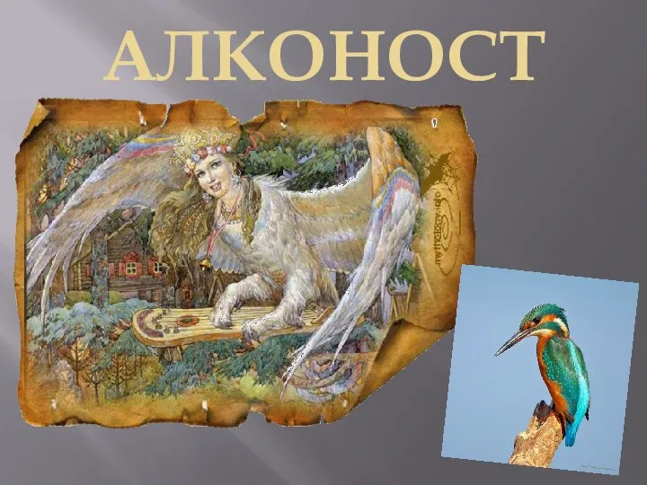 АЛКОНОСТ