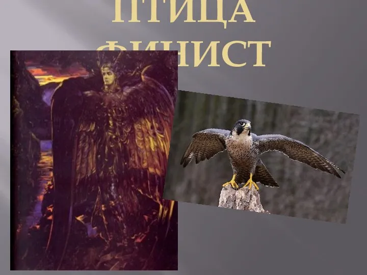 ПТИЦА ФИНИСТ