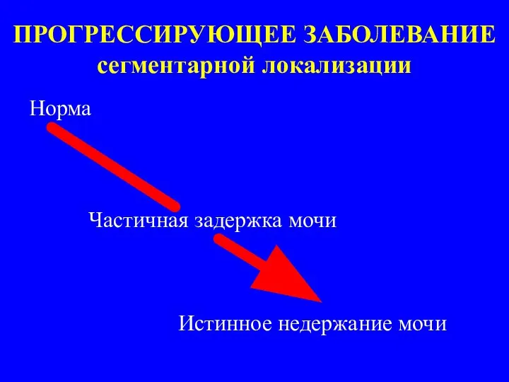 ПРОГРЕССИРУЮЩЕЕ ЗАБОЛЕВАНИЕ сегментарной локализации Норма Частичная задержка мочи Истинное недержание мочи