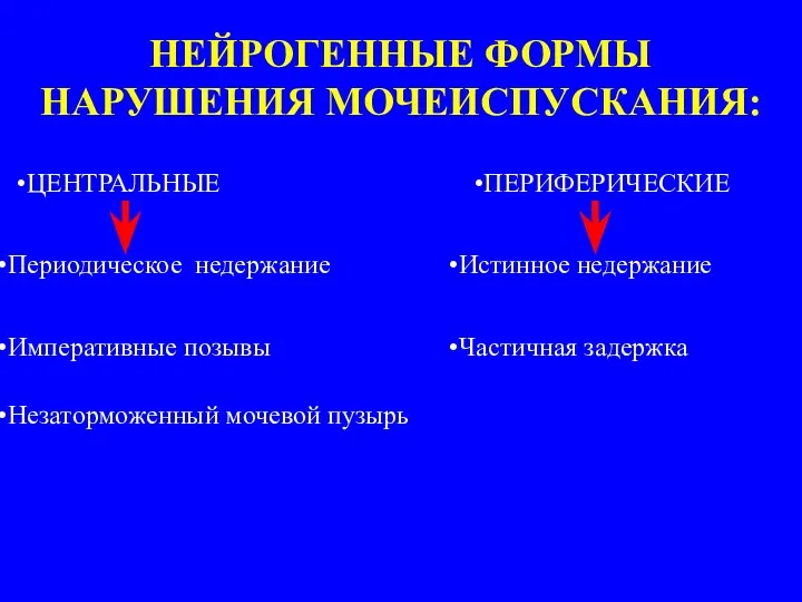 НЕЙРОГЕННЫЕ ФОРМЫ НАРУШЕНИЯ МОЧЕИСПУСКАНИЯ: ЦЕНТРАЛЬНЫЕ ПЕРИФЕРИЧЕСКИЕ Периодическое недержание Императивные позывы Незаторможенный мочевой