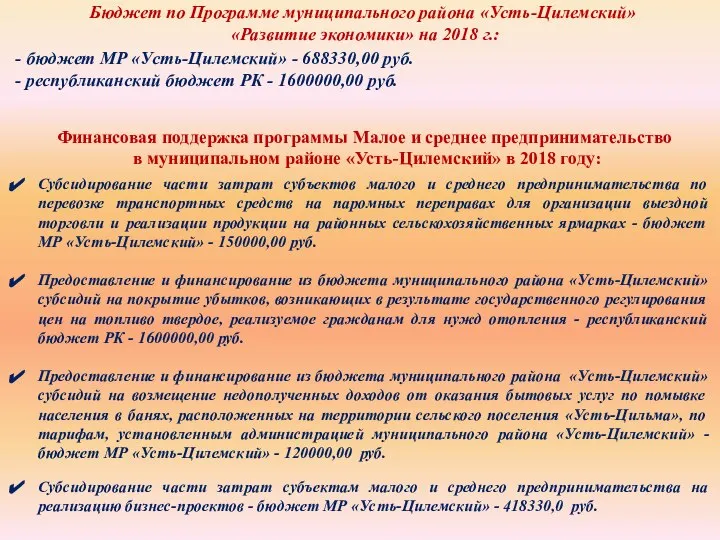 Финансовая поддержка программы Малое и среднее предпринимательство в муниципальном районе «Усть-Цилемский» в