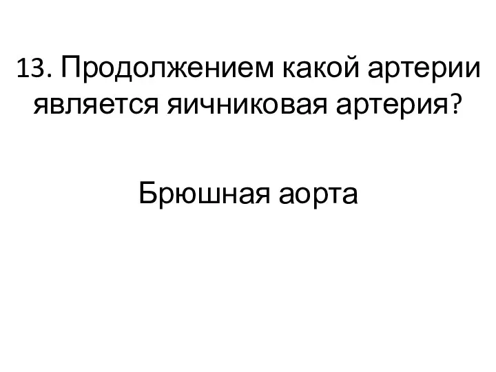 13. Продолжением какой артерии является яичниковая артерия? Брюшная аорта