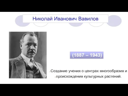 Николай Иванович Вавилов (1887 – 1943) Создание учения о центрах многообразия и происхождения культурных растений.