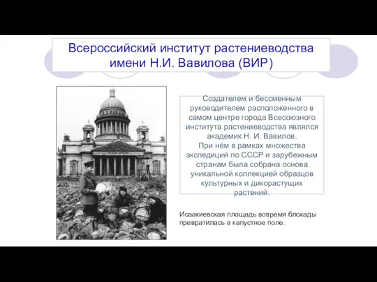 Всероссийский институт растениеводства имени Н.И. Вавилова (ВИР) Исаакиевская площадь вовремя блокады превратилась
