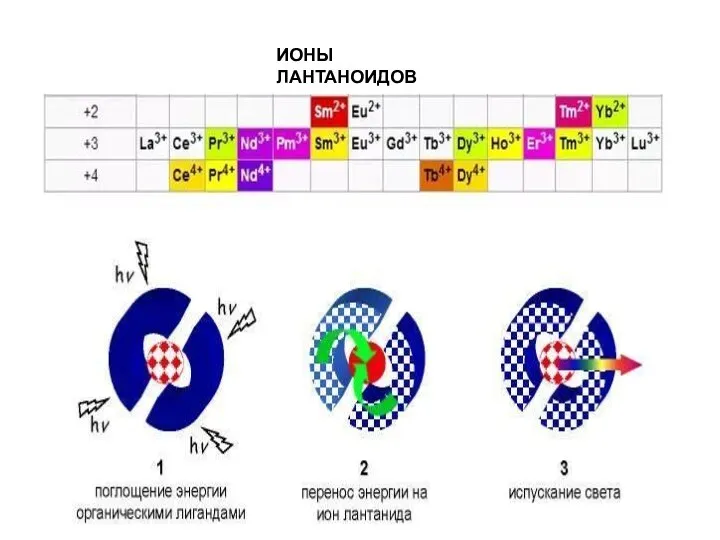 ИОНЫ ЛАНТАНОИДОВ