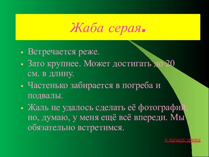 Жаба серая. Встречается реже. Зато крупнее. Может достигать до 20 см. в