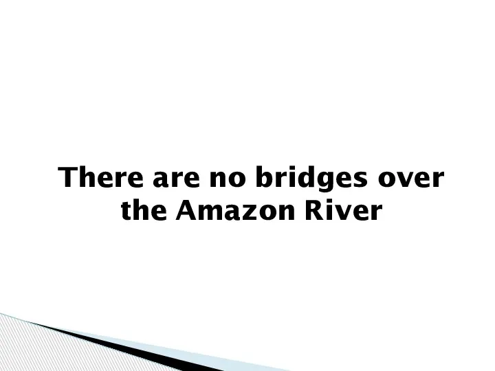 There are no bridges over the Amazon River