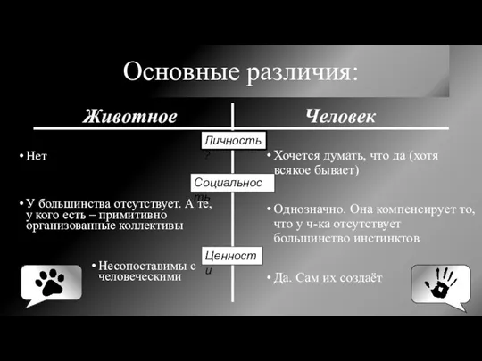 Основные различия: Человек Нет У большинства отсутствует. А те, у кого есть