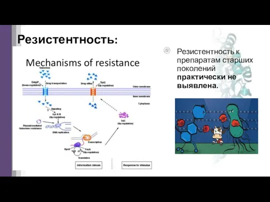 Резистентность: Резистентность к препаратам старших поколений практически не выявлена.